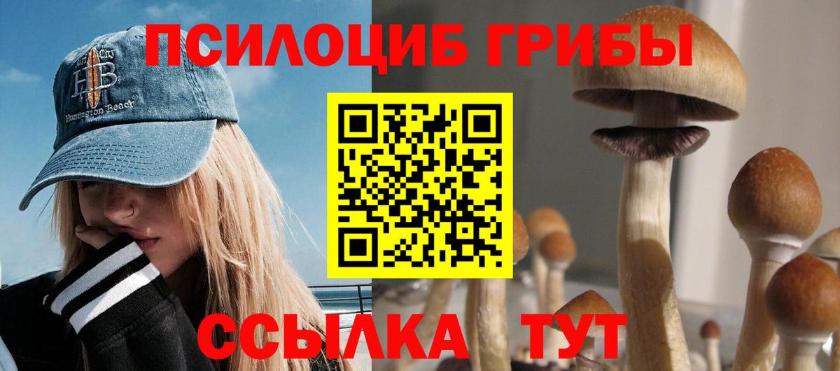 Галлюциногенные грибы прущие грибы Усолье-Сибирское